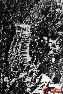 解放大西在线观看,探寻红色岁月的壮丽篇章  第3张